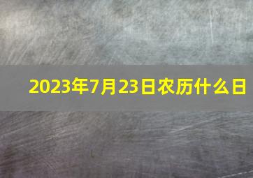 2023年7月23日农历什么日