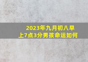 2023年九月初八早上7点3分男孩命运如何