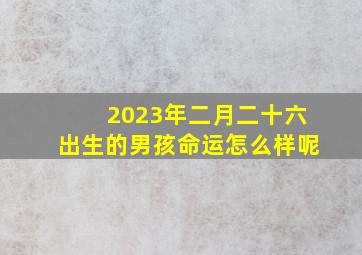 2023年二月二十六出生的男孩命运怎么样呢