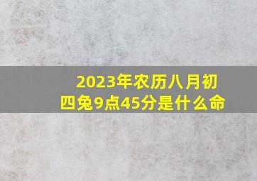 2023年农历八月初四兔9点45分是什么命