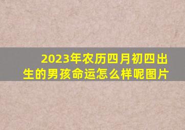 2023年农历四月初四出生的男孩命运怎么样呢图片