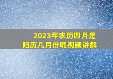 2023年农历四月是阳历几月份呢视频讲解