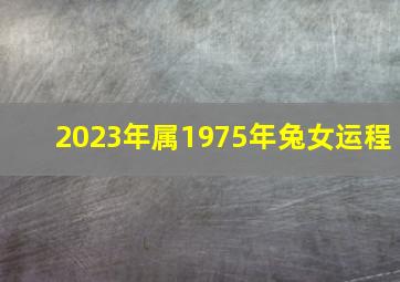 2023年属1975年兔女运程