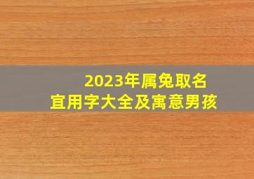 2023年属兔取名宜用字大全及寓意男孩