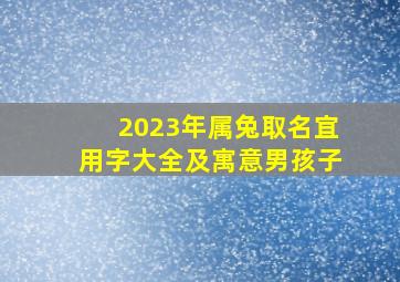 2023年属兔取名宜用字大全及寓意男孩子