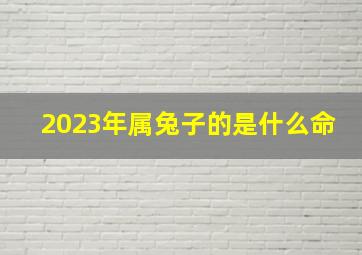 2023年属兔子的是什么命