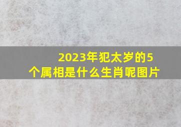 2023年犯太岁的5个属相是什么生肖呢图片