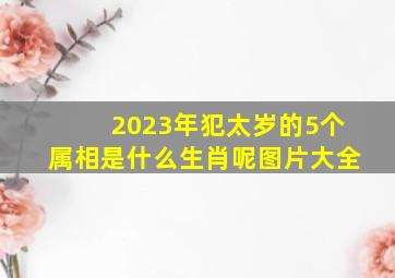 2023年犯太岁的5个属相是什么生肖呢图片大全