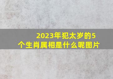 2023年犯太岁的5个生肖属相是什么呢图片