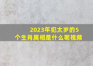 2023年犯太岁的5个生肖属相是什么呢视频