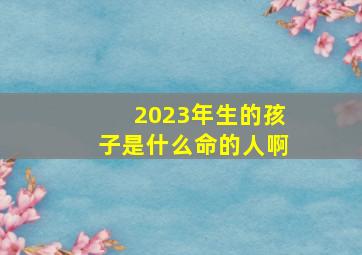 2023年生的孩子是什么命的人啊