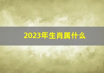 2023年生肖属什么