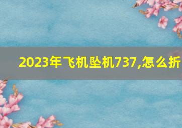 2023年飞机坠机737,怎么折