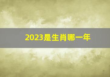 2023是生肖哪一年