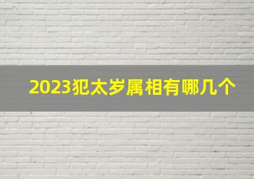 2023犯太岁属相有哪几个