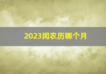 2023闰农历哪个月