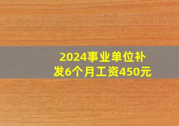 2024事业单位补发6个月工资450元