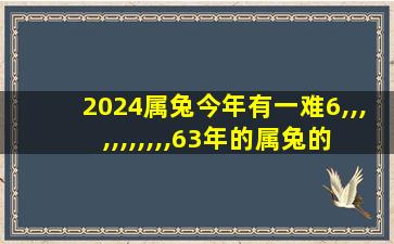 2024属兔今年有一难6,,,,,,,,,,,63年的属兔的