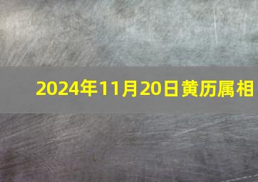 2024年11月20日黄历属相