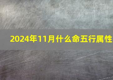 2024年11月什么命五行属性