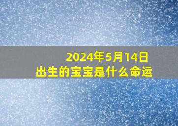 2024年5月14日出生的宝宝是什么命运