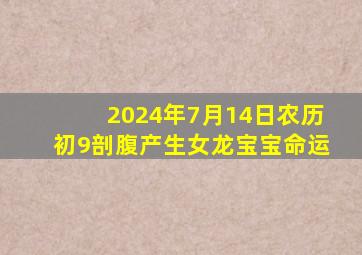 2024年7月14日农历初9剖腹产生女龙宝宝命运