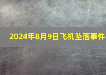 2024年8月9日飞机坠落事件