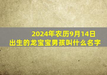 2024年农历9月14日出生的龙宝宝男孩叫什么名字