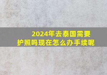 2024年去泰国需要护照吗现在怎么办手续呢