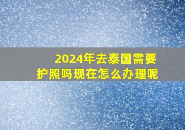 2024年去泰国需要护照吗现在怎么办理呢