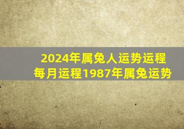 2024年属兔人运势运程每月运程1987年属兔运势