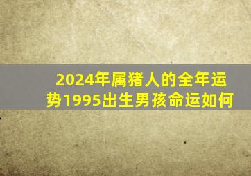 2024年属猪人的全年运势1995出生男孩命运如何