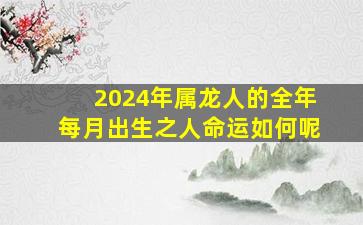 2024年属龙人的全年每月出生之人命运如何呢