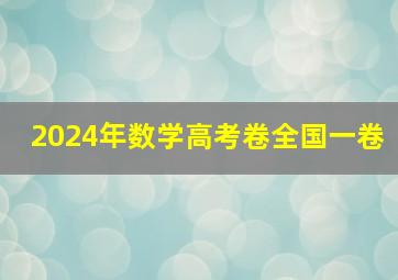 2024年数学高考卷全国一卷