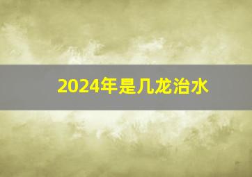 2024年是几龙治水