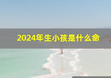 2024年生小孩是什么命