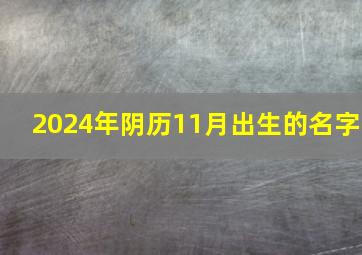 2024年阴历11月出生的名字