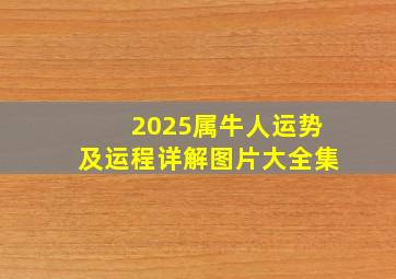 2025属牛人运势及运程详解图片大全集