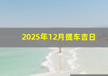 2025年12月提车吉日