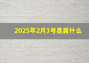 2025年2月3号是属什么