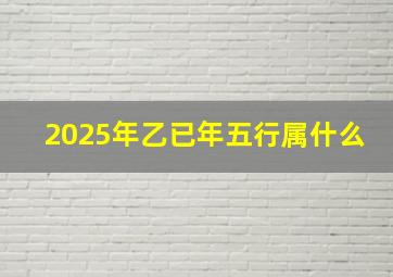 2025年乙已年五行属什么