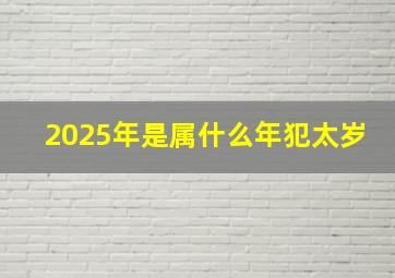 2025年是属什么年犯太岁