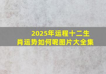 2025年运程十二生肖运势如何呢图片大全集