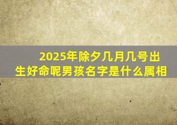 2025年除夕几月几号出生好命呢男孩名字是什么属相