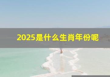 2025是什么生肖年份呢