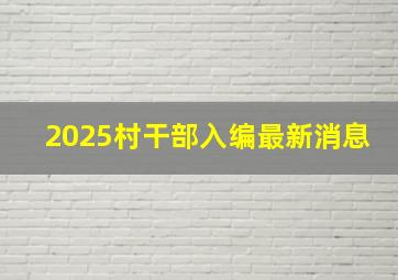 2025村干部入编最新消息