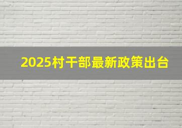 2025村干部最新政策出台