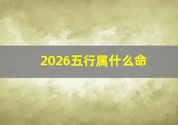 2026五行属什么命