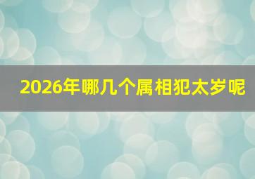 2026年哪几个属相犯太岁呢