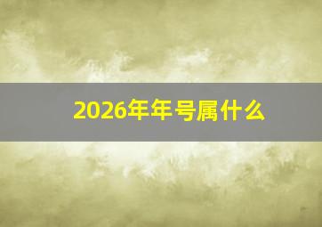 2026年年号属什么